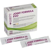 Joint Formula Evo 20 Sticks