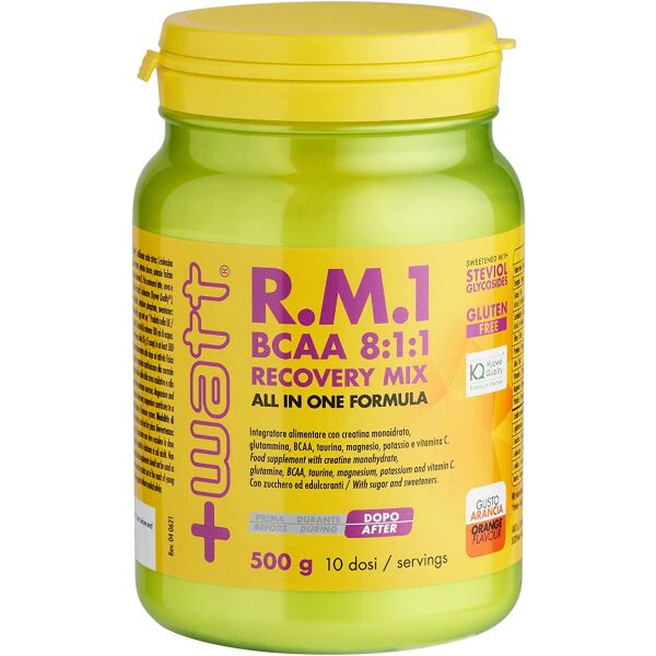 R.M.1 BCAA 8:1:1 Recovery Mix  500g