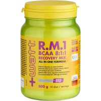 R.M.1 BCAA 8:1:1 Recovery Mix  500g
