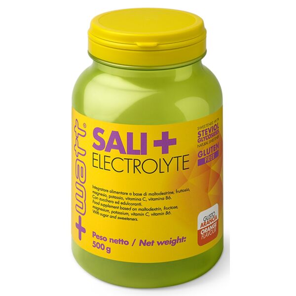 Sali+ Electrolyte Arancia 500g