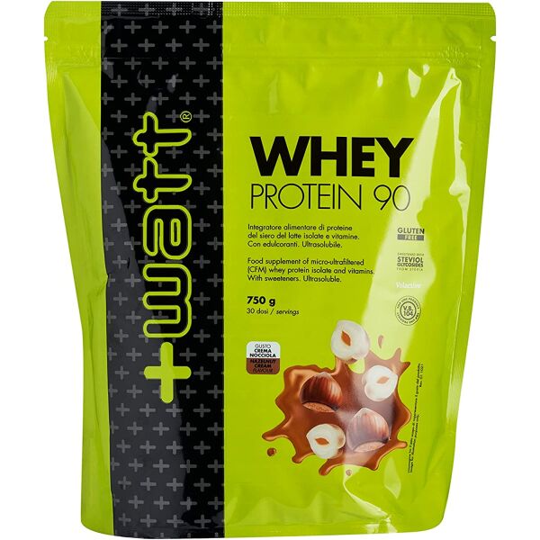 Whey Protein 90 Haselnuss 750g
