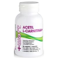 ACETYL L-Carnitine+ 90 Kapseln