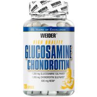 Glucosamina+Chondroitina Plus MSM 120 caps.