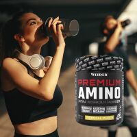 Premium Amino Intra Workout 800g