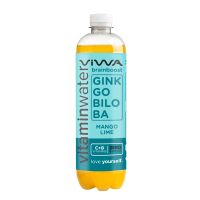 VIWA VitaminWater 600ml BrainBoost | Mango Lime