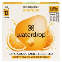 Waterdrop Microdrink 12 Portionen