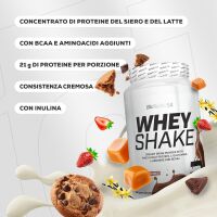 Whey Shake 1000g